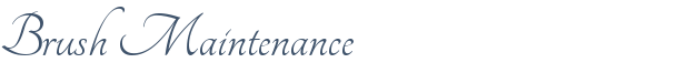 Dentist Walnut Creek Brush Maintenance